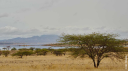 ebkenya.png