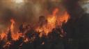 scienceforcenatureINCENDIE-v.jpg