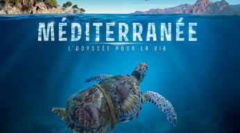 Méditerranée, l'odyssée pour la vie