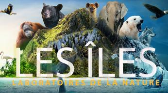 Les îles, laboratoires de la nature