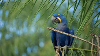 Des royaumes de terre et d'eau