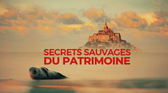 Secrets sauvages du patrimoine