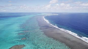 Des îles et des hommes