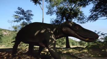 Aux origines des mammifères, le monde avant les dinosaures (c) Pernelmedia (27).jpg