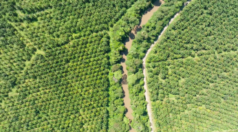 DES MAINS VERTES POUR LA NATURE S1E2 Une lueur d'espoir pour la forêt tropicale c)Längengrad Filmproduktion (3) (1).png