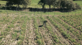 LA COURSE AU CLIMAT (c) Grand Angle Productions et Elles Phoenix (7).png