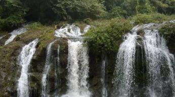 Nature,-le-retour-du-sauvage-visuel-avec-titre_E4.jpg