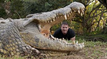 crocodiles-2 (1).jpg