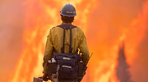 Incendies géants