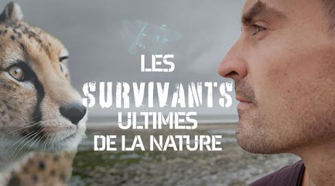 Les survivants ultimes de la nature