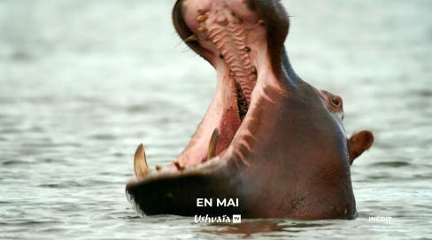 En mai