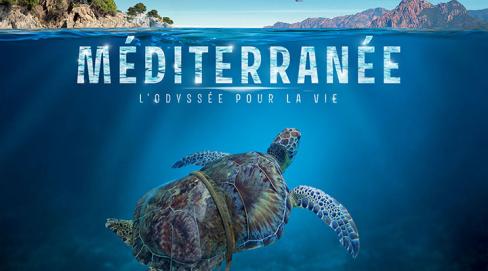 Méditerranée, l'odyssée pour la vie