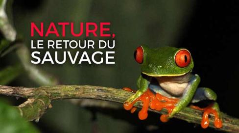 Nature, le retour du sauvage