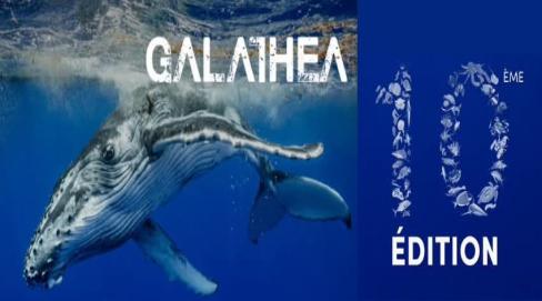 10ème édition du festival Galathea