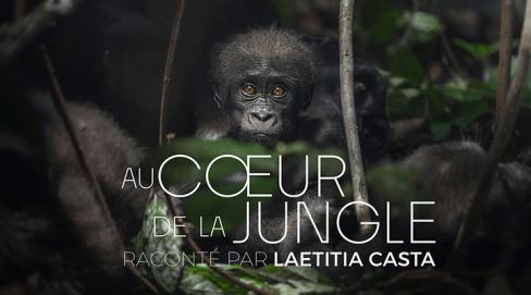 Au coeur de la jungle