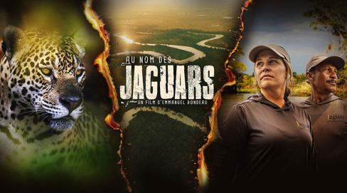 Au nom des jaguars