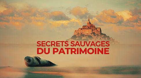 Secrets sauvages du patrimoine
