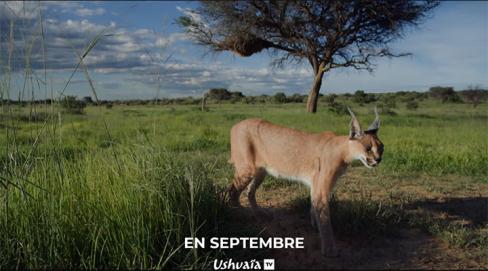 En septembre
