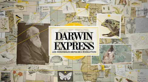 Darwin Express