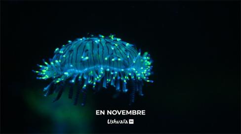 En novembre