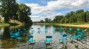 Green Justice : quand la nature porte plainte