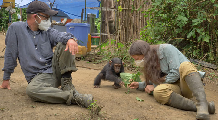 Primates en sursis, le combat d'Amandine Primates en sursis, le combat d'Amandine