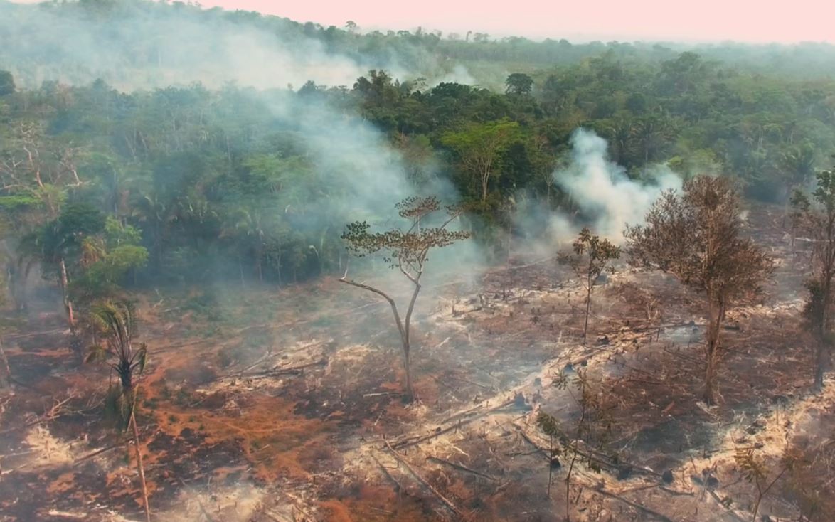 Amazonie, la maison brûle