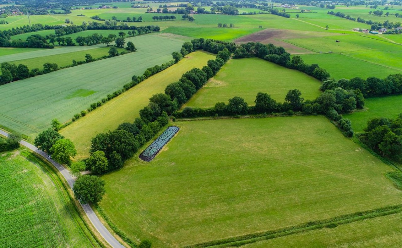 Bocages, nos haies communes Bocages, nos haies communes