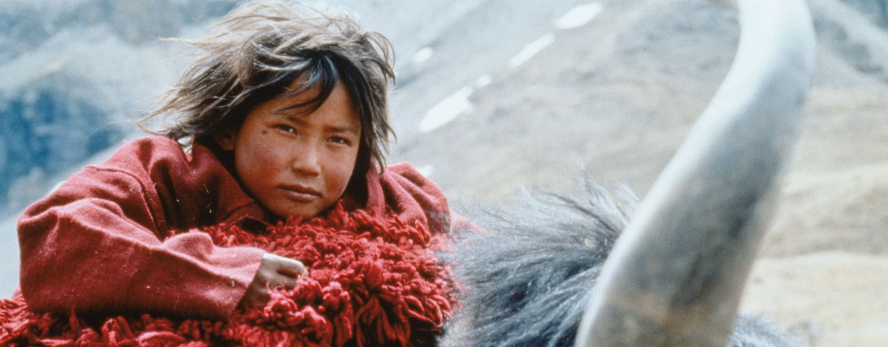 Himalaya L Enfance D Un Chef Streaming Gratuit Himalaya l'enfance d'un chef | Ushuaia TV