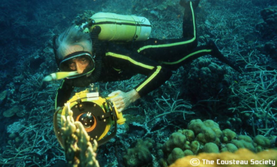 (c) The Cousteau Society (c) The Cousteau Society
