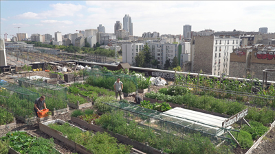 Des légumes dans la ville Des légumes dans la ville