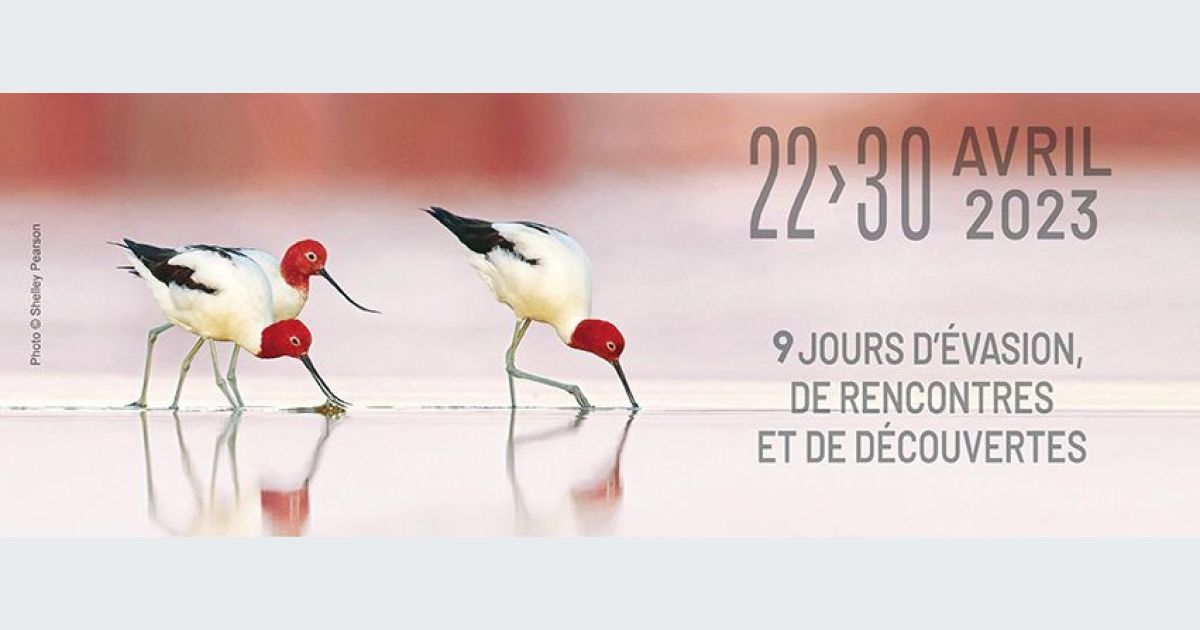 le-festival-de-l-oiseau-et-de-la-nature-3-222253-1200-630.jpg