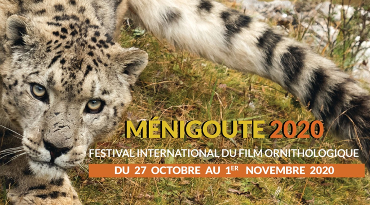 FIFO de Ménigoute 2020 FIFO de Ménigoute 2020