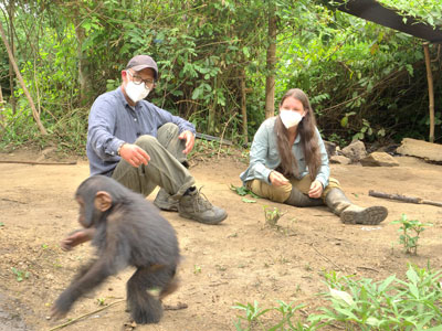 Primates en sursis, le combat d'Amandine Primates en sursis, le combat d'Amandine