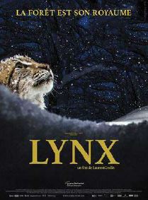 Lynx de Laurent Geslin. Lynx de Laurent Geslin.
