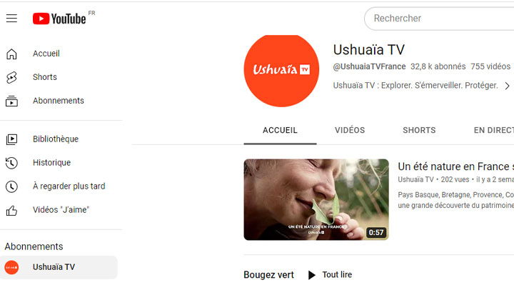 youtube.jpg